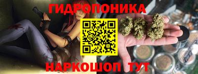 крисы Донской
