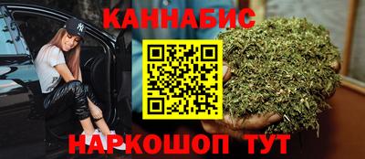 крисы Донской