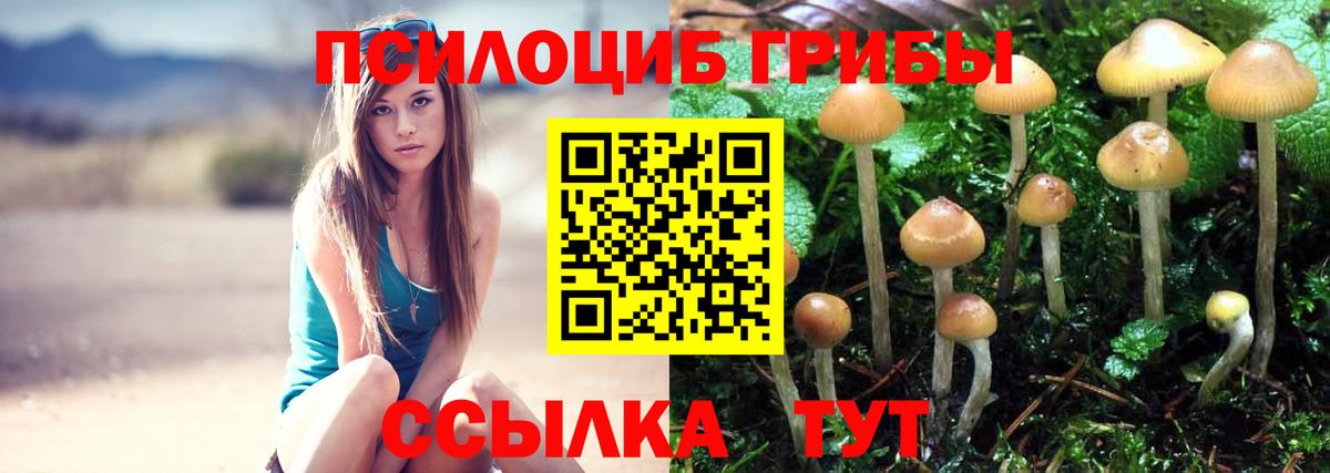 Галлюциногенные грибы Cubensis  Вход с VPN  закладка  Мурманск  Галлюциногенные грибы GOLDEN TEACHER 