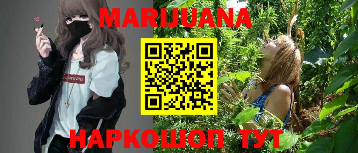 Канабис план Мурманск